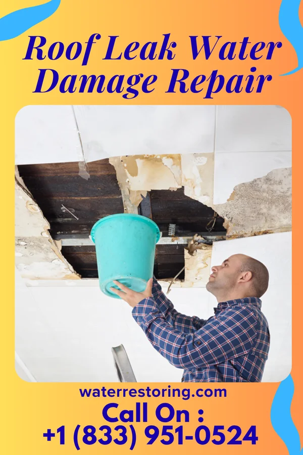 Roof Leak Water Damage Repair in Noel, MO
