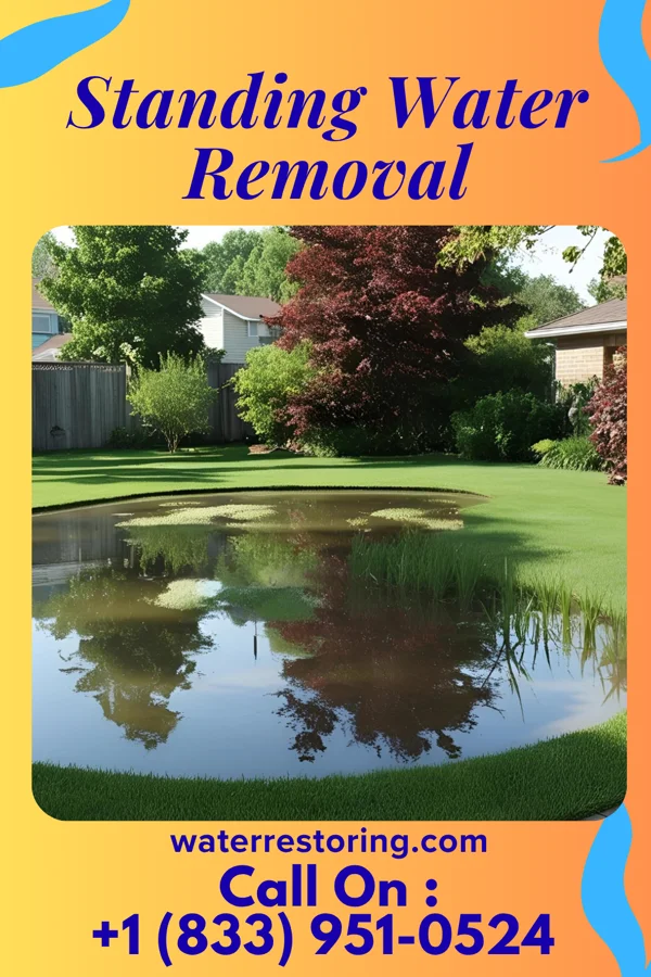 Standing Water Removal in Noel, MO
